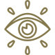 vision